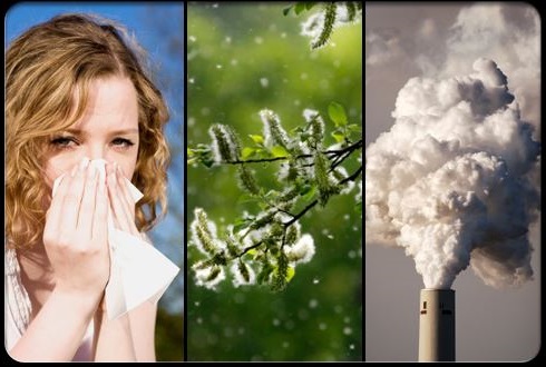 factores medioambientales que favorecen el asma